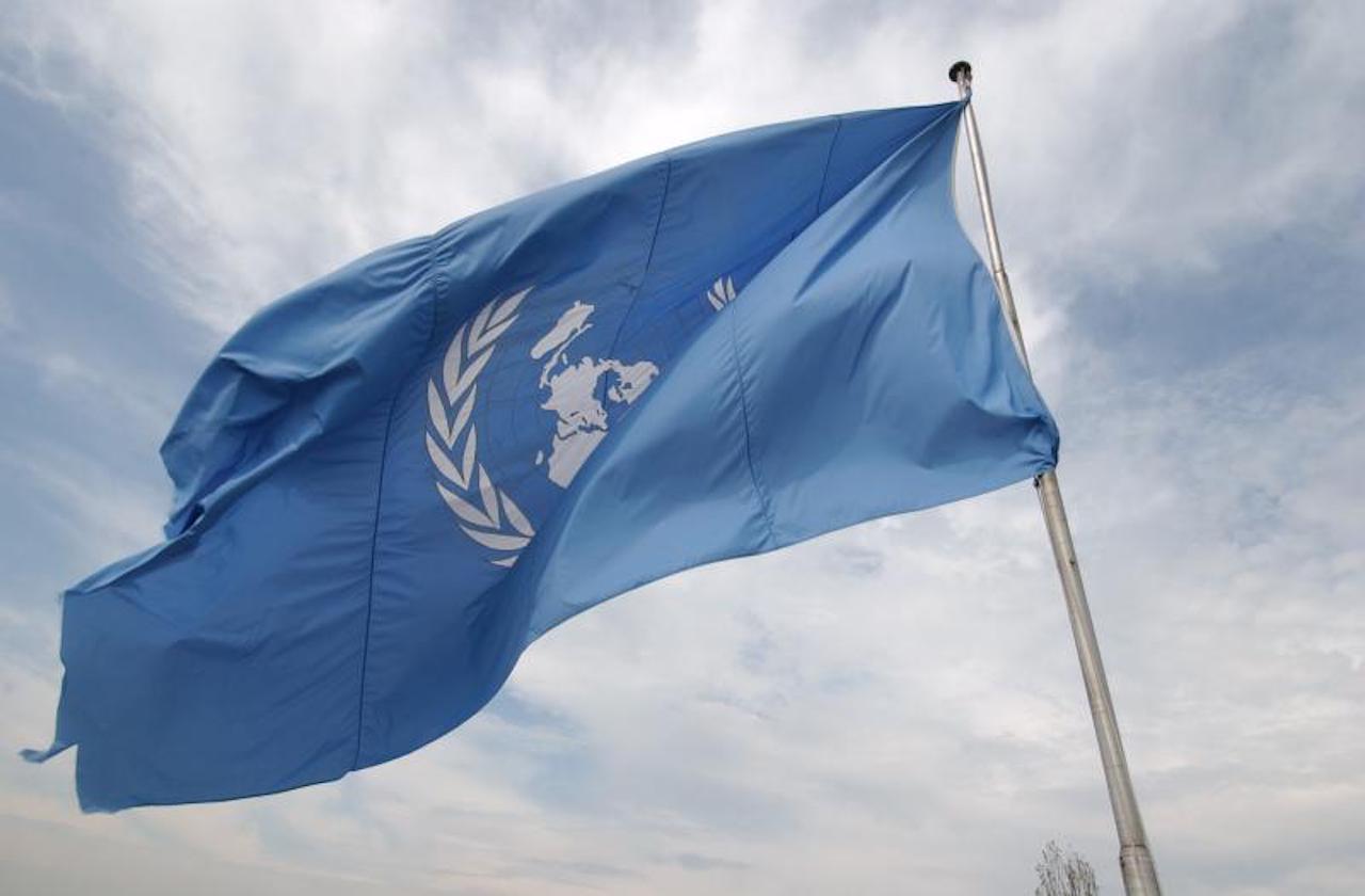 النظام من قلب الفوضى: هل الأمم المتحدة صديق أم عدو