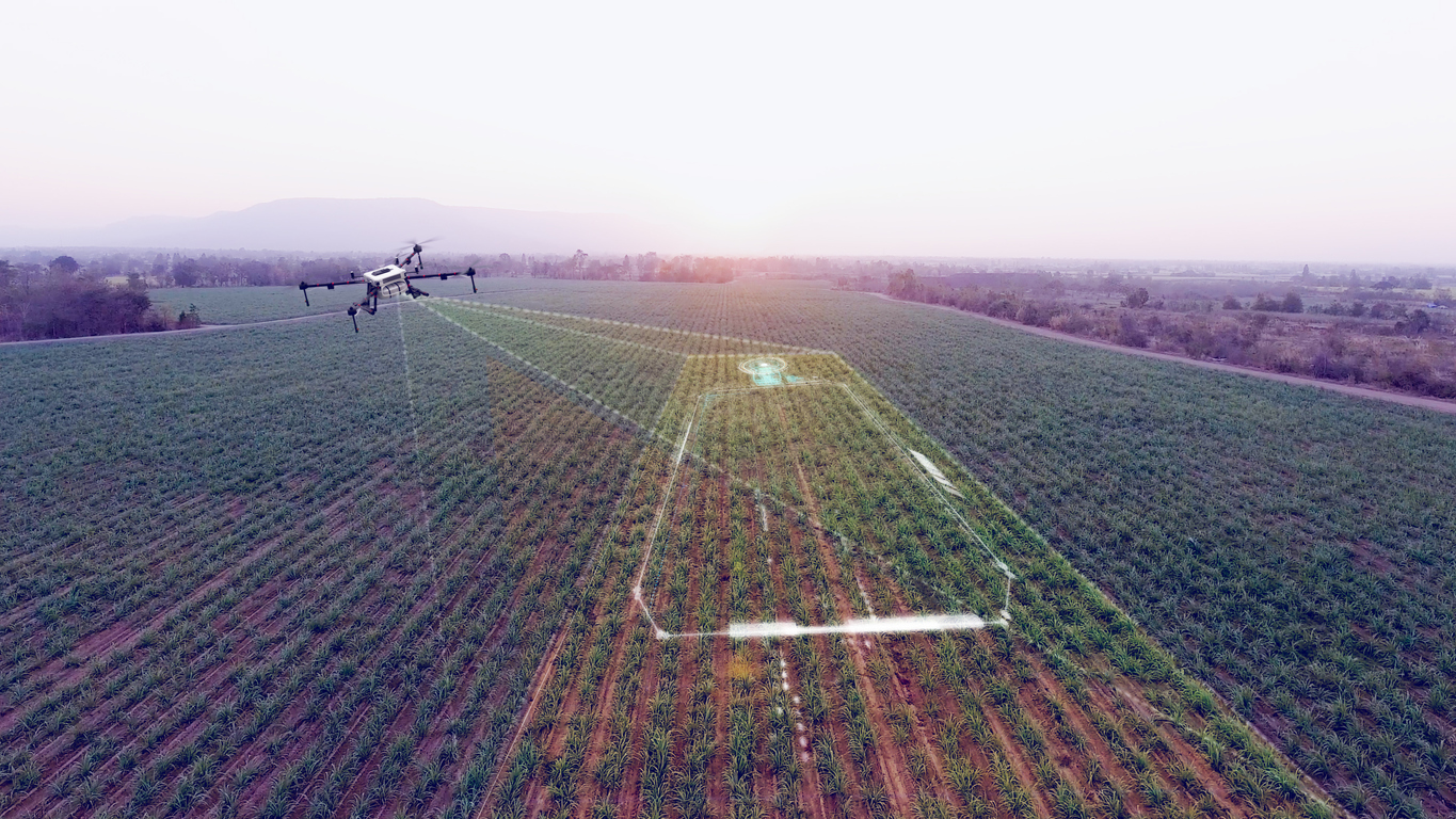 La agricultura digital: Una nueva frontera para los derechos de los datos