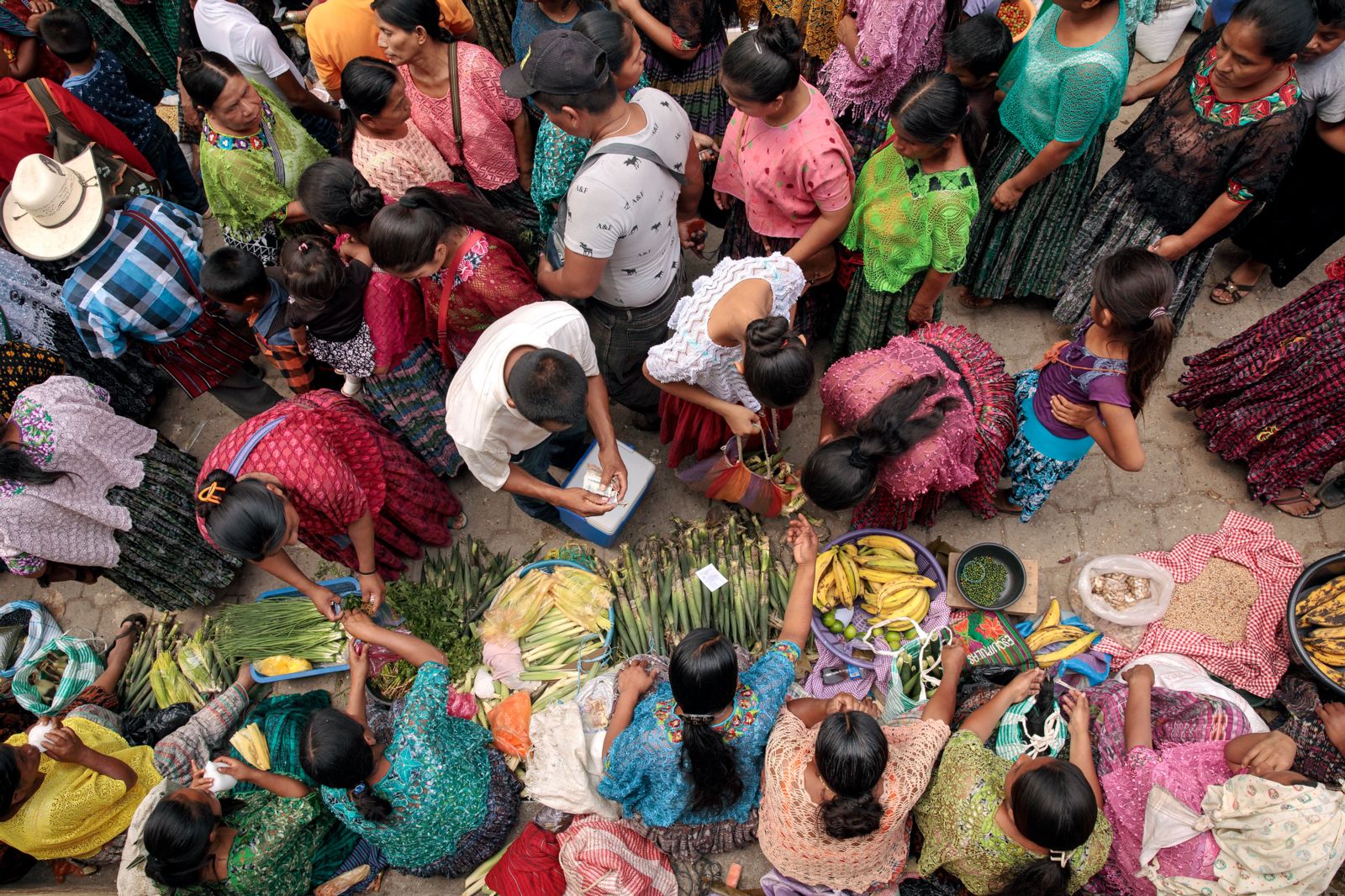 Seeds of inequality: women in sustainable agriculture