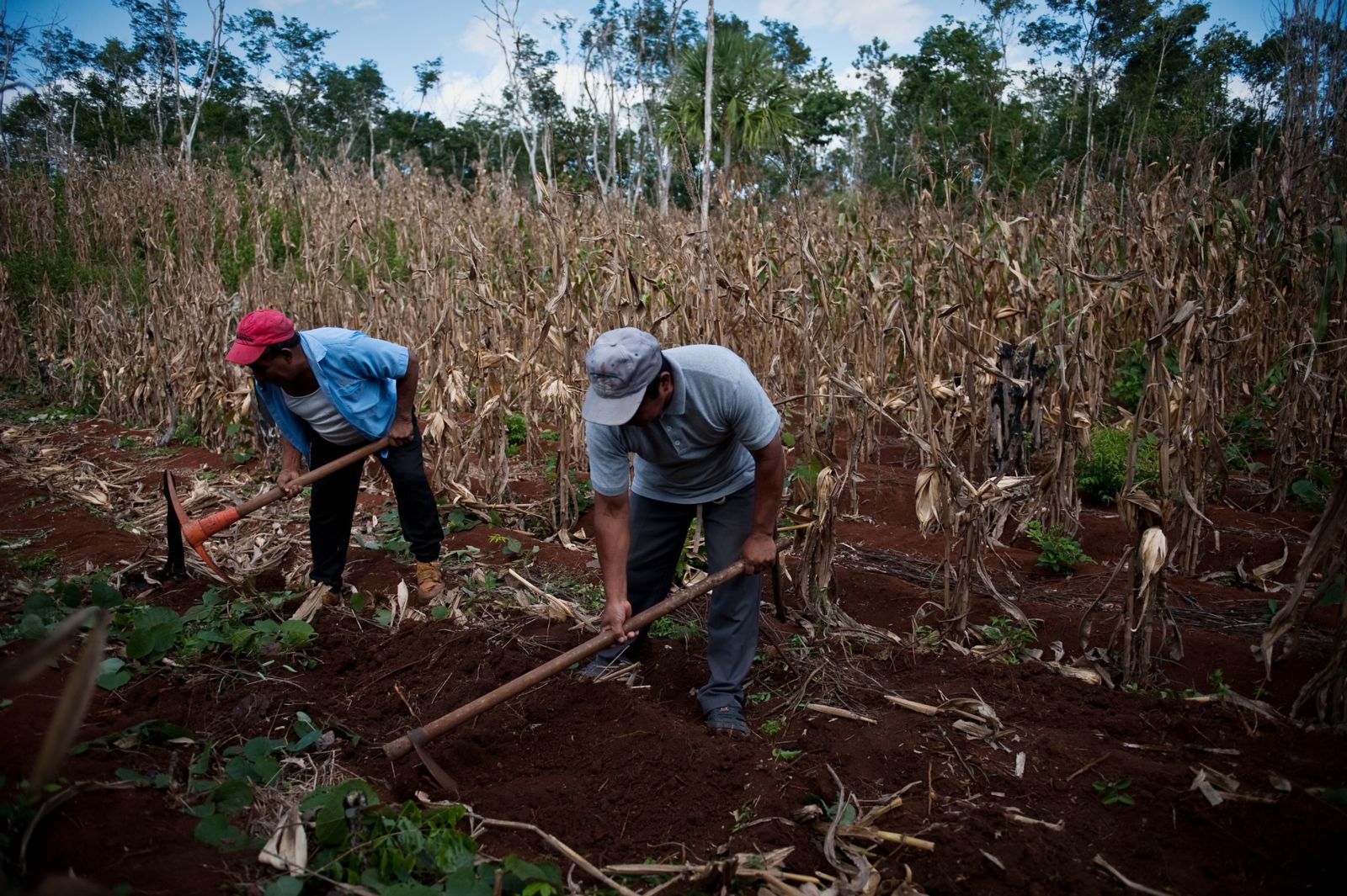 Climate science in rights-based advocacy contexts