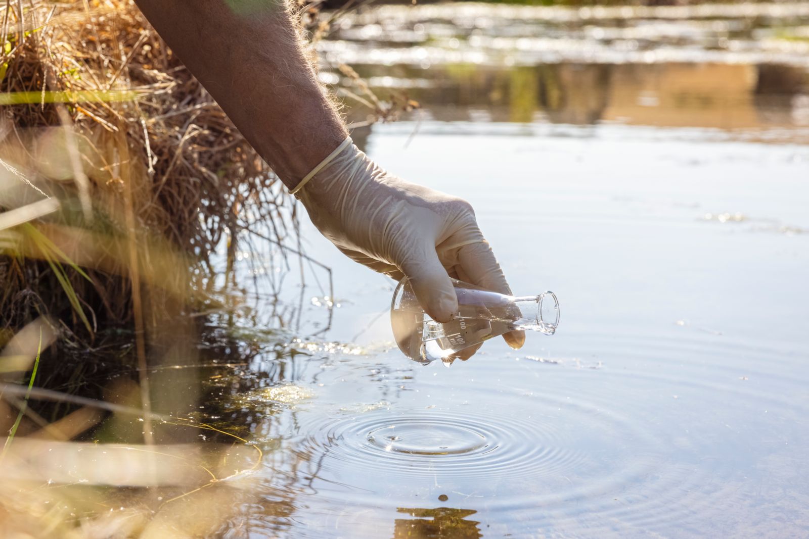 Participatory baseline water study improves scientific data and strengthens community power