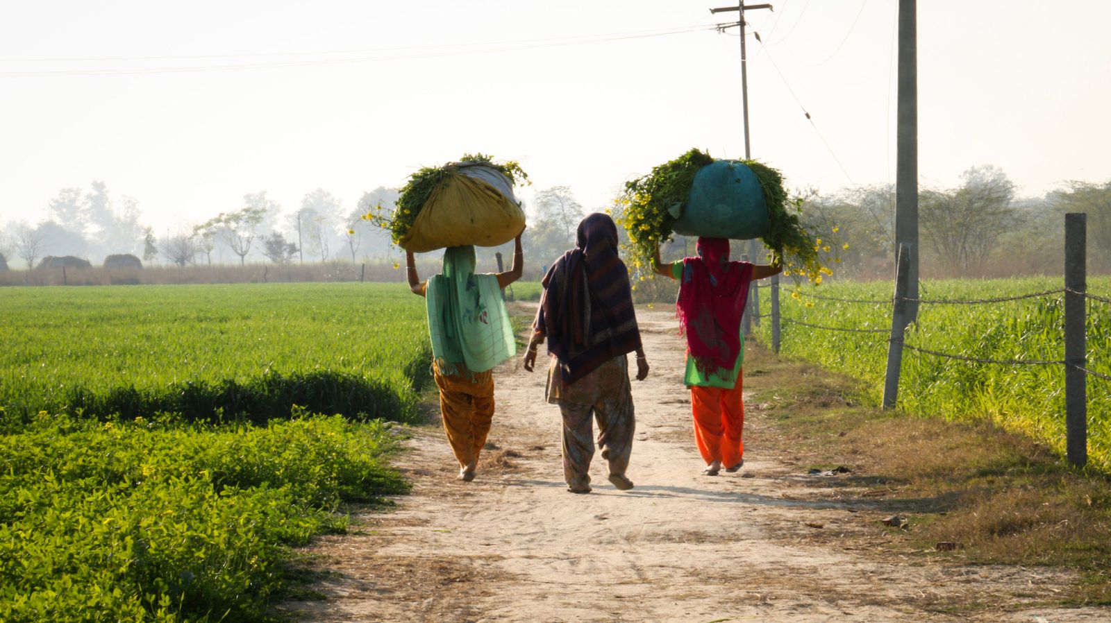 पंजाब में भूमि अधिकारों के लिए लड़ रही दलित महिलाओं से शिक्षा