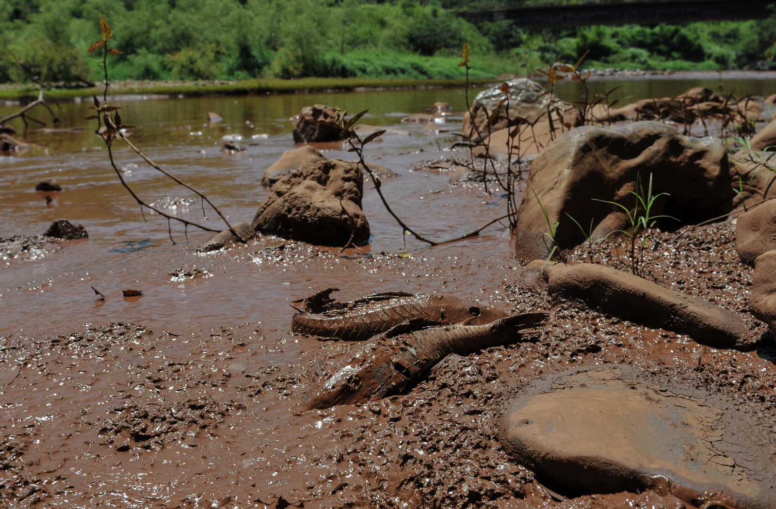 Destapar los secretos de las violaciones de derechos causadas por la industria minera de Brasil