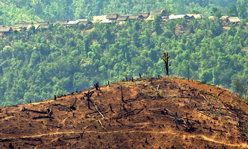 La CPI investigará la destrucción del medio ambiente, así como los crímenes de guerra