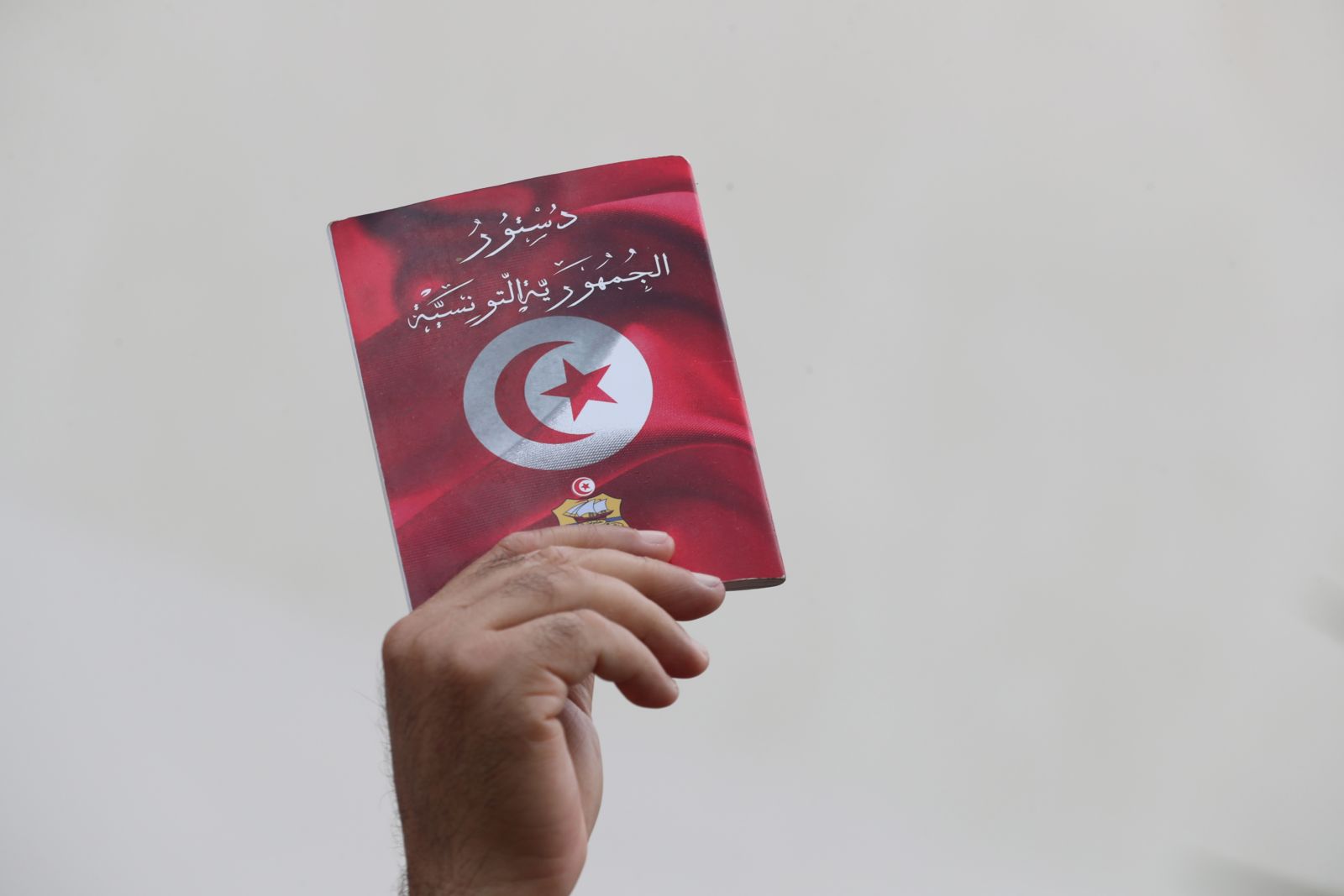 Tunisian human rights activism in the 1960s: Revolutionaries, intellectuals and prisoners of conscience