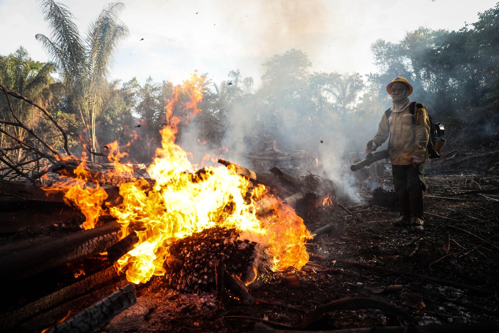 Will climate change litigation save the Brazilian Amazon?