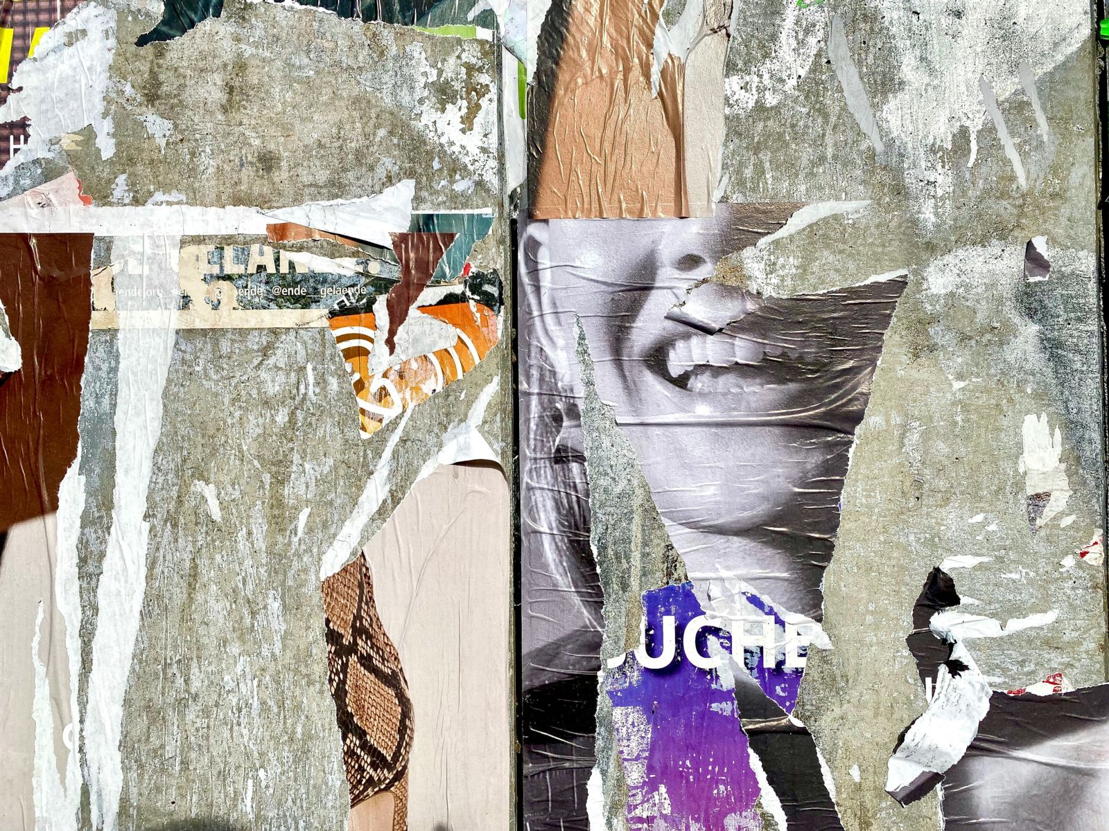 Image alt text