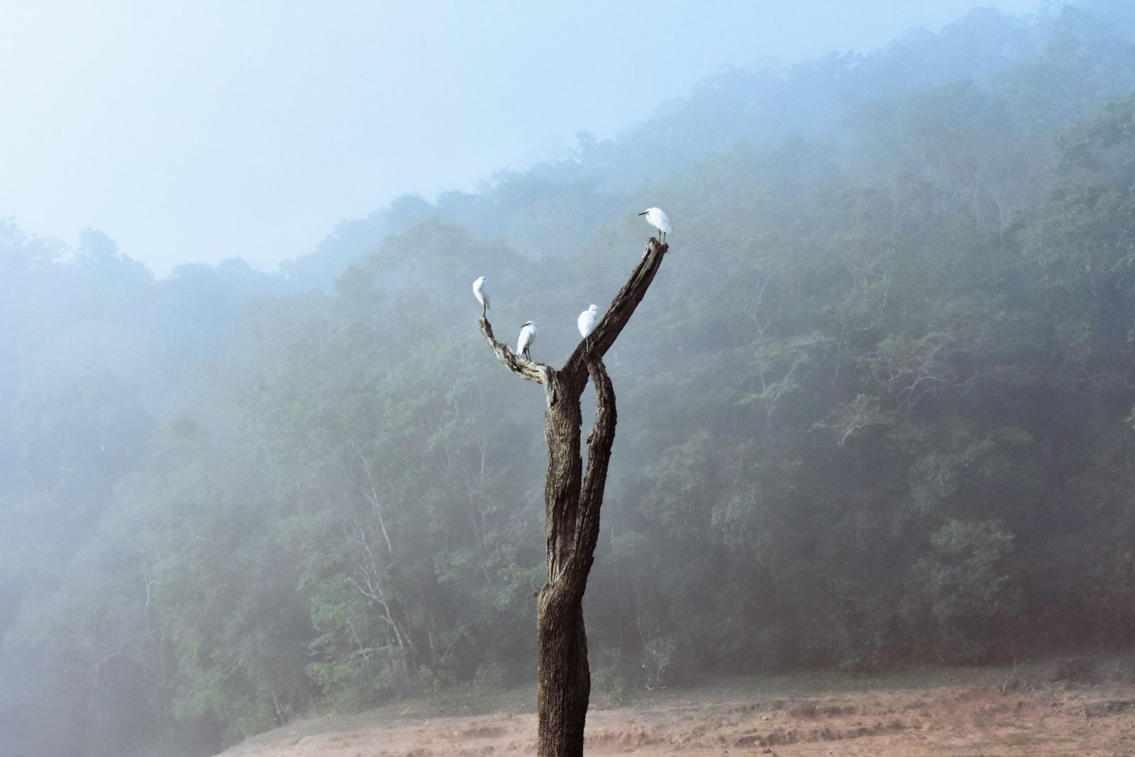 Beyond the critique of anthropocentrism: Rethinking the rights of nature