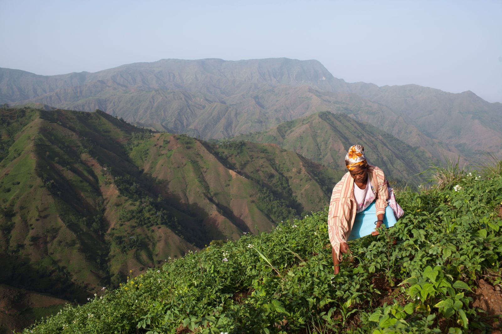 Land grabs in Haiti sow climate vulnerability and violence against women