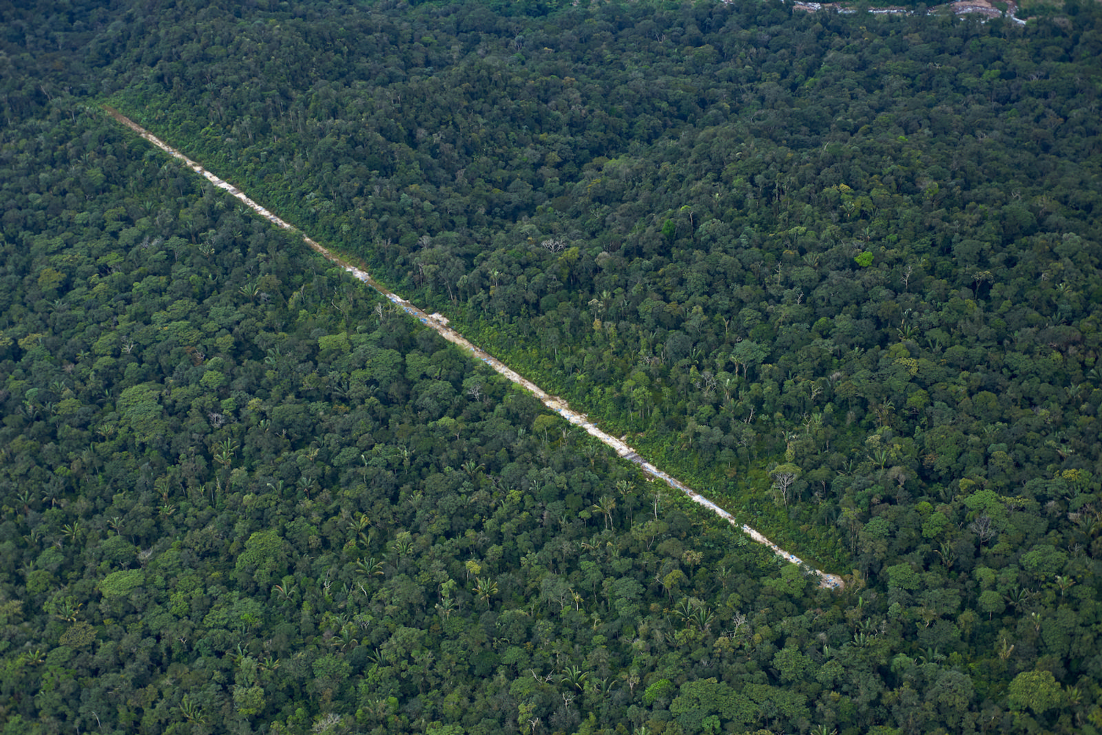 La lucha contra el cambio climático es también una lucha contra el crimen organizado
